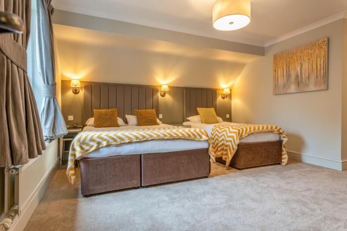 dog and bear hotel