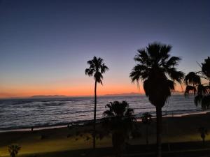 cape town
