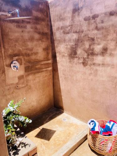 belvidere country estate