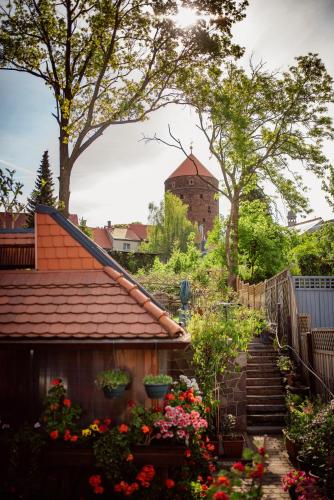 altes hinterhausel