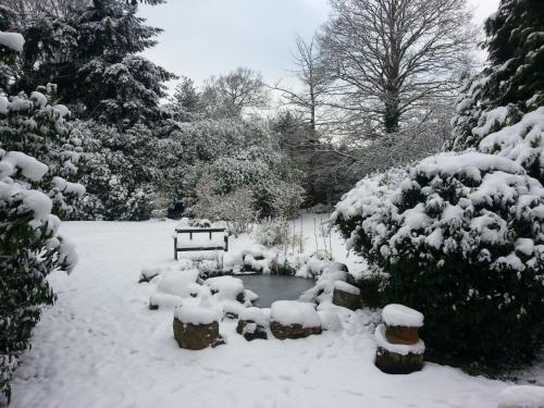 rosemead guest house