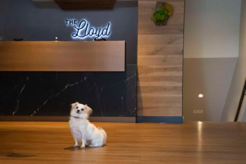 the lloyd stamford tapestry collection by hilton