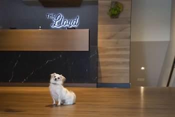 The Lloyd Stamford, Tapestry Collection By Hilton,Fairfield County>>Fairfield,4 star