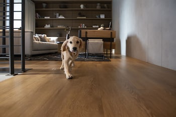 The Lloyd Stamford, Tapestry Collection By Hilton,Fairfield County>>Fairfield,4 star