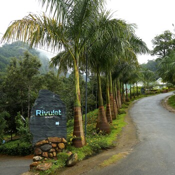 Rivulet,Devikolam>>Chithirapuram,4 star