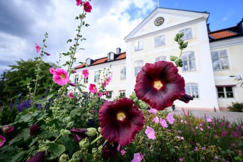 stjarnholms slott