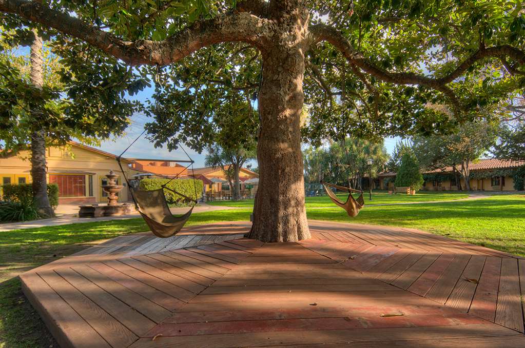 inn marin and suites ascend hotel collection