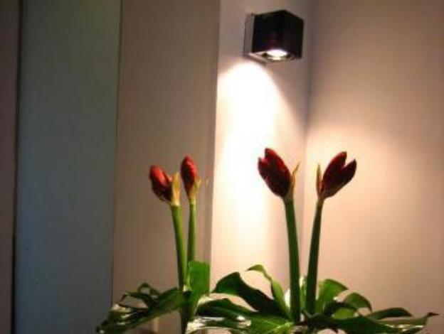 a rosa collection hotel ceres am meer adults only