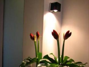 a rosa collection hotel ceres am meer adults only