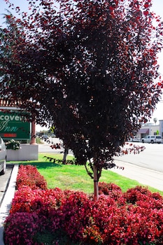 discovery inn