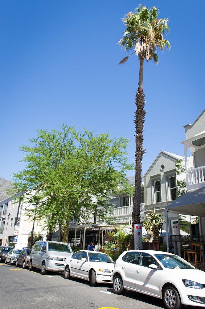 hippo boutique hotel