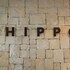hippo boutique hotel