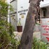 hippo boutique hotel