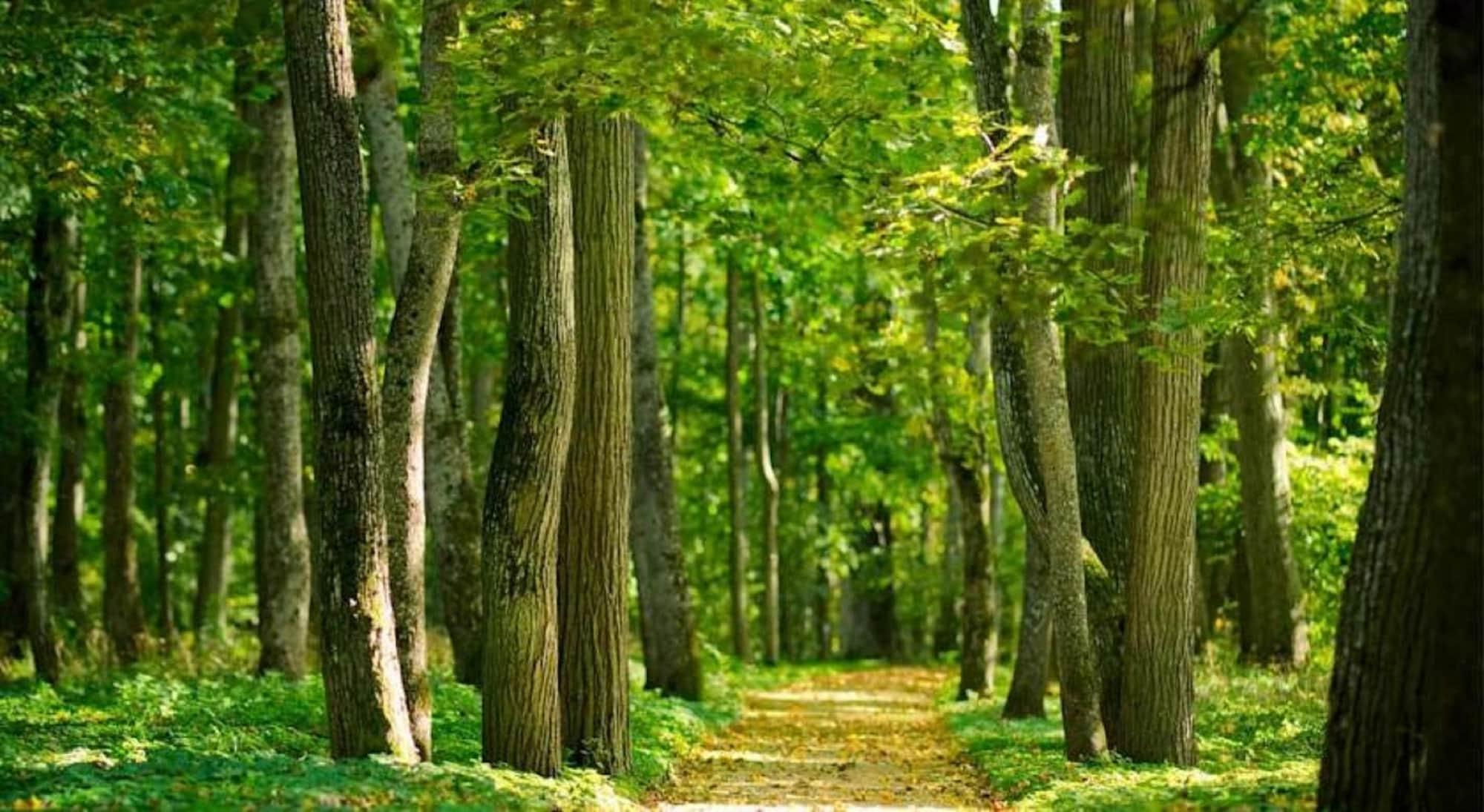 Breaffy House Hotel,Breaghwy>>Ballinrobe,4 star