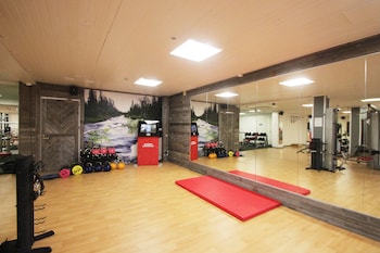hotel hullu poro