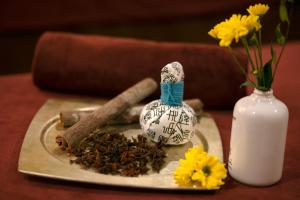 hanoi anise hotel and spa