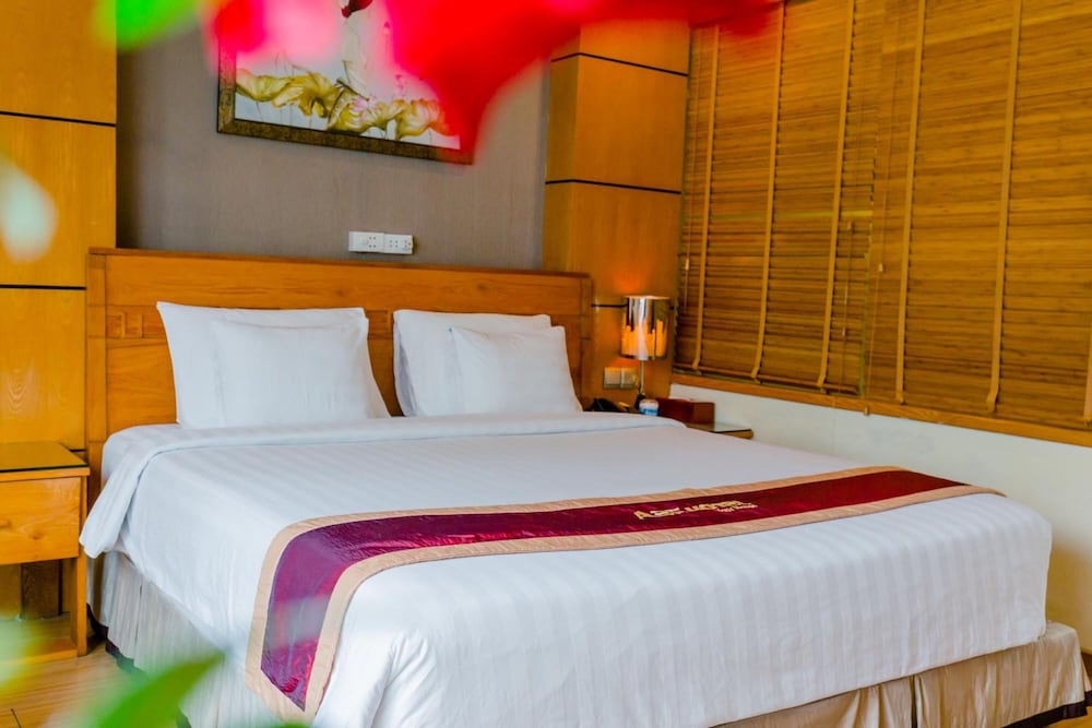 a25 hotel 45 phan chu trinh