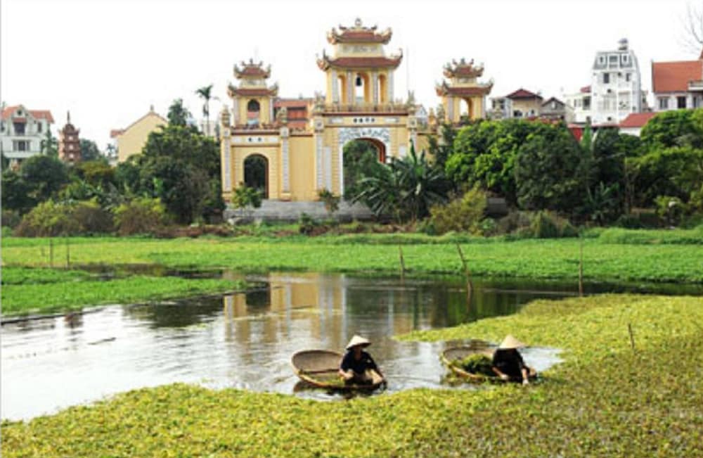 wild lotus apartment 2