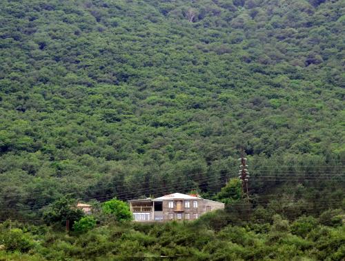 yeghevnut hotel
