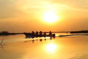 colonia carlos pellegrini