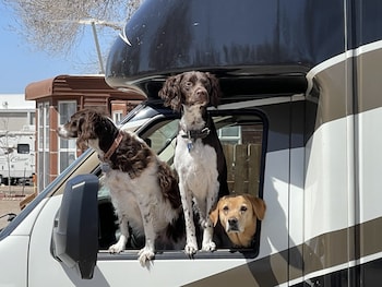 la junta colorado cabins