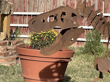 la junta colorado cabins