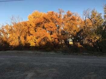 la junta colorado cabins