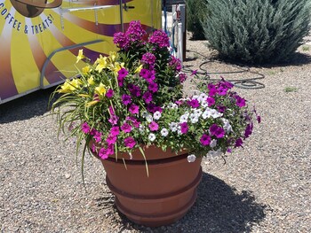 la junta colorado cabins