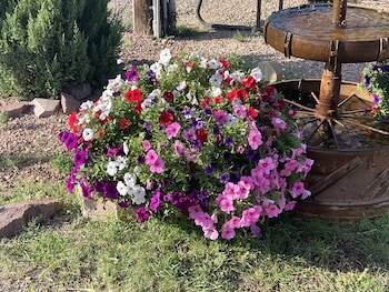 la junta colorado cabins