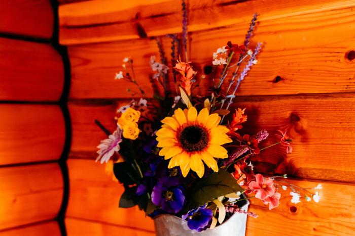 la junta colorado cabins