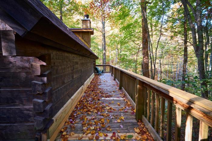 pigeon forge