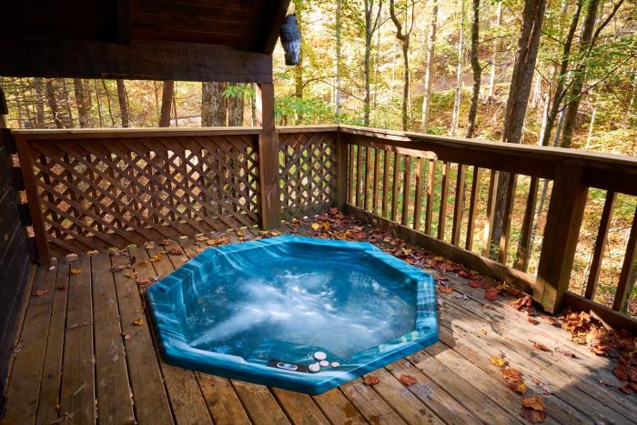a cabin in the woods