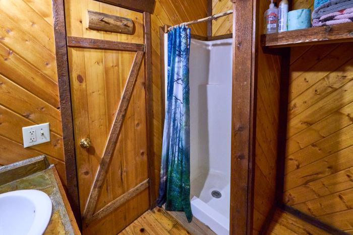 a cabin in the woods
