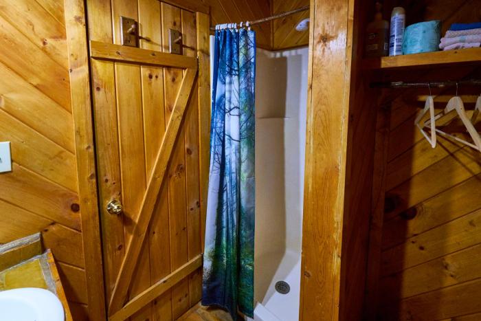 a cabin in the woods