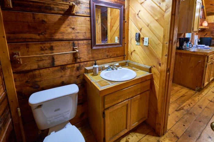 a cabin in the woods