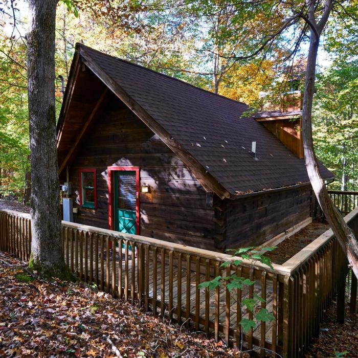 a cabin in the woods