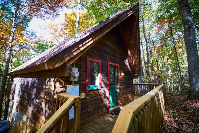 a cabin in the woods