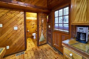 a cabin in the woods