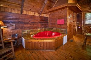 a cabin in the woods