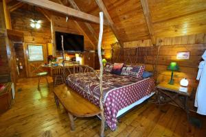 a cabin in the woods