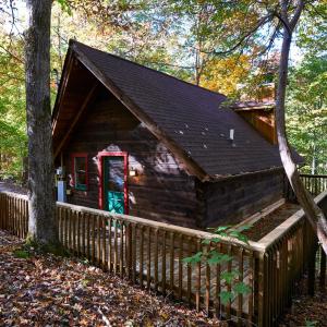 a cabin in the woods