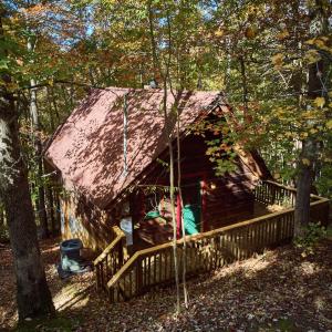 a cabin in the woods