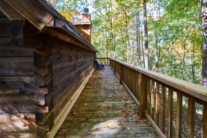 a cabin in the woods