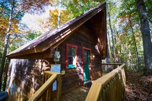 a cabin in the woods