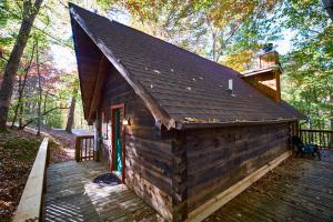 a cabin in the woods