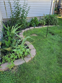 Hampton House,,3.5 star