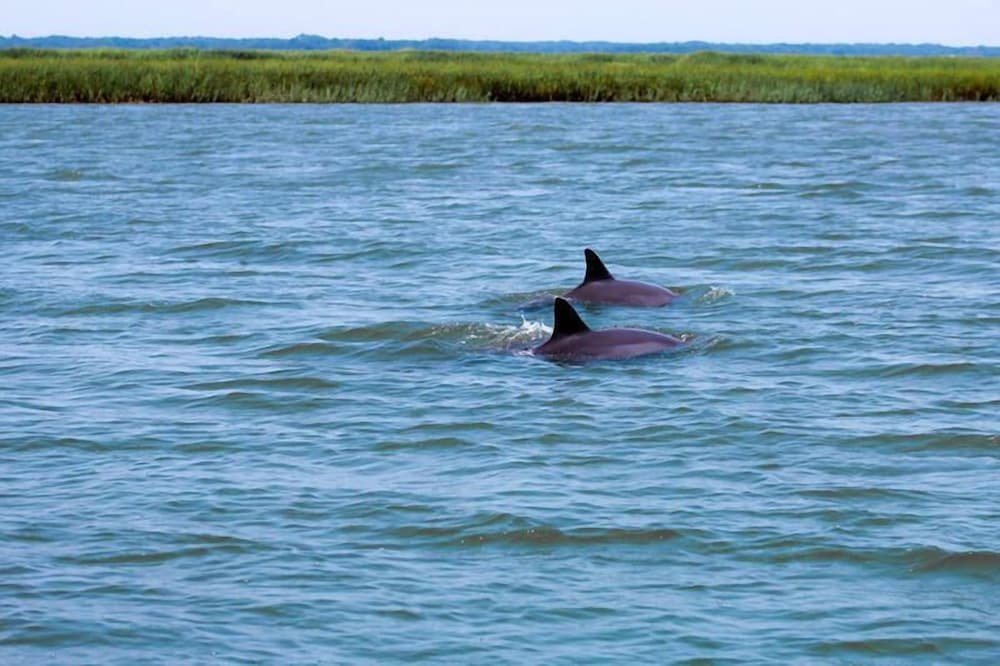 411 capt john fripp villa