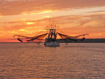 saint helena island