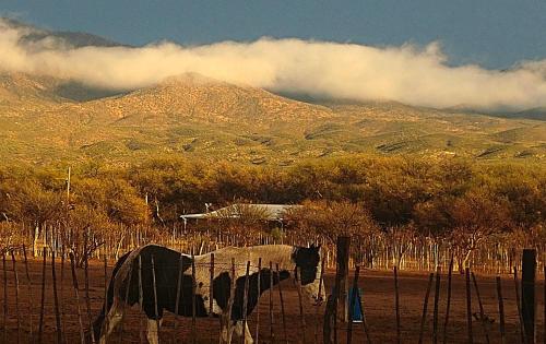 Double R Guest Ranch,Arizona>>Benson,2 star