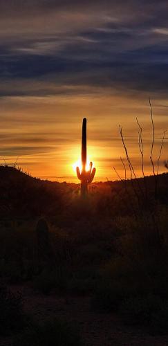 Double R Guest Ranch,Arizona>>Benson,2 star
